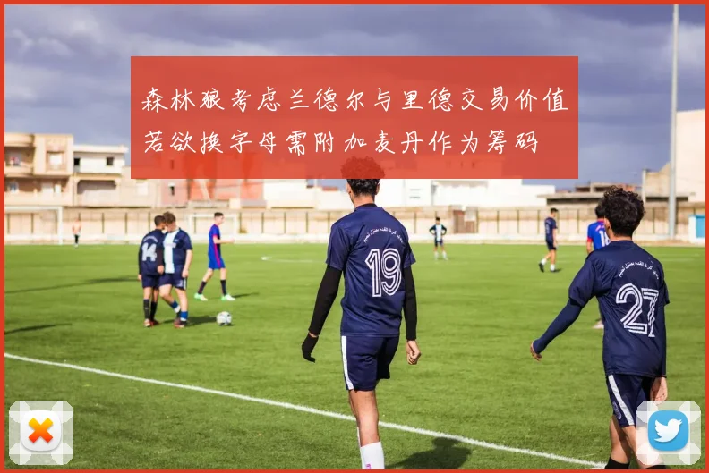 森林狼考虑兰德尔与里德交易价值若欲换字母需附加麦丹作为筹码