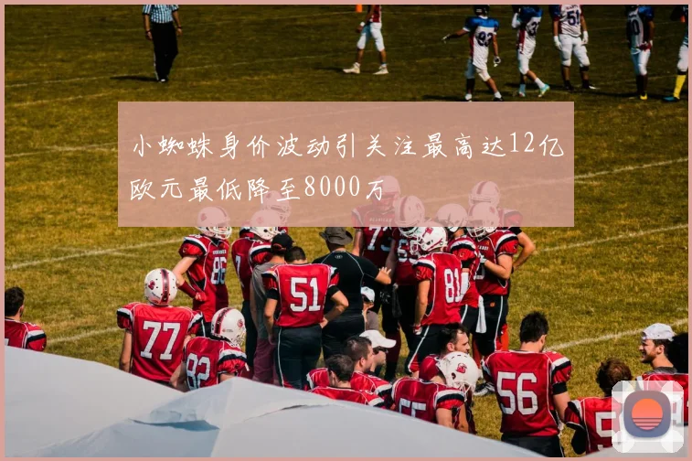 小蜘蛛身价波动引关注最高达12亿欧元最低降至8000万