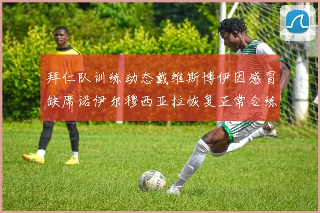 拜仁队训练动态戴维斯博伊因感冒缺席诺伊尔穆西亚拉恢复正常合练